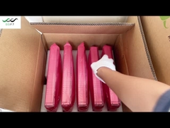 Module rectificateur Eltek Flatpack2 48/3000HE 48V 3000W à haut rendement (n° de partie 241119.105)